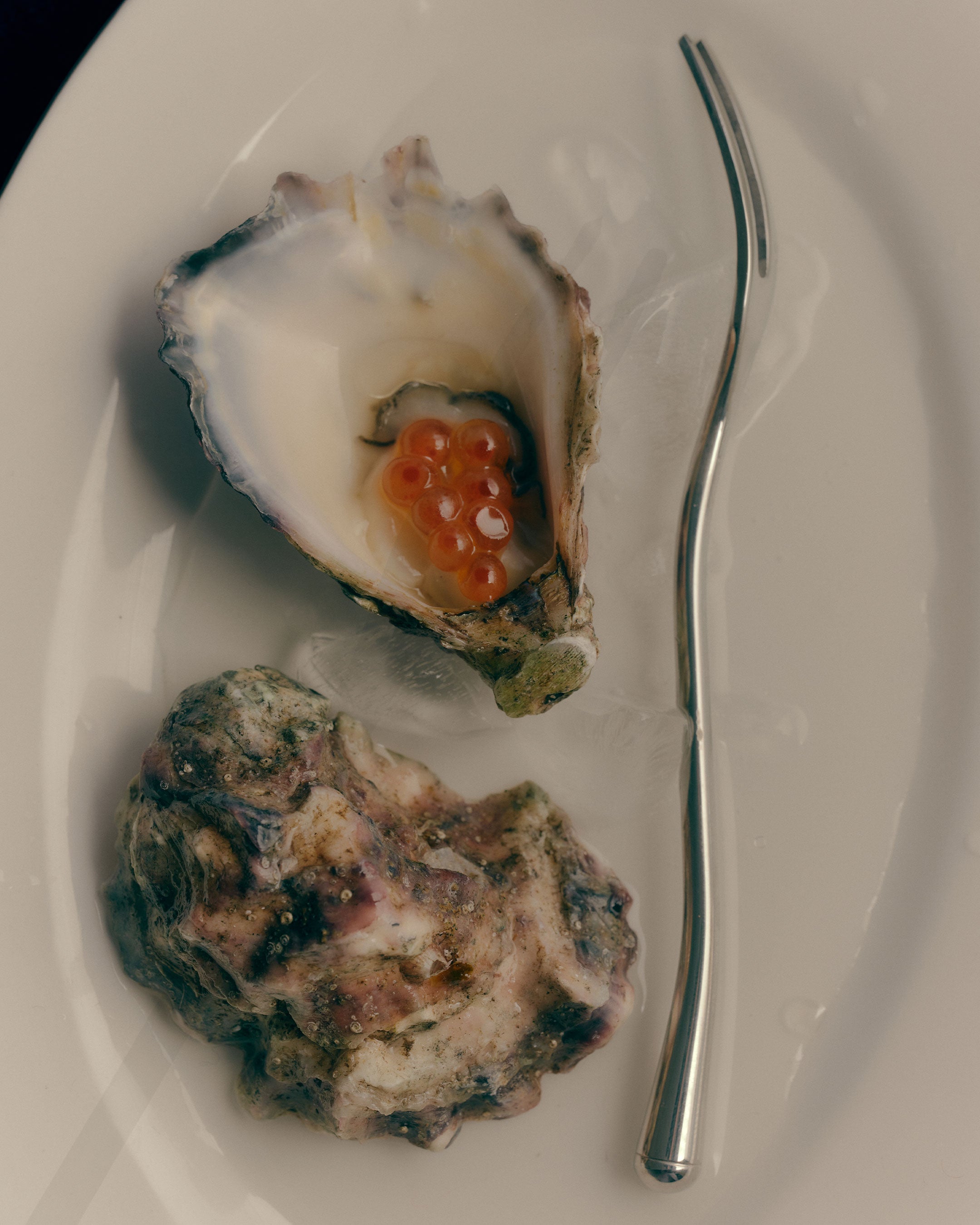 Oyster Fork | Set of 2