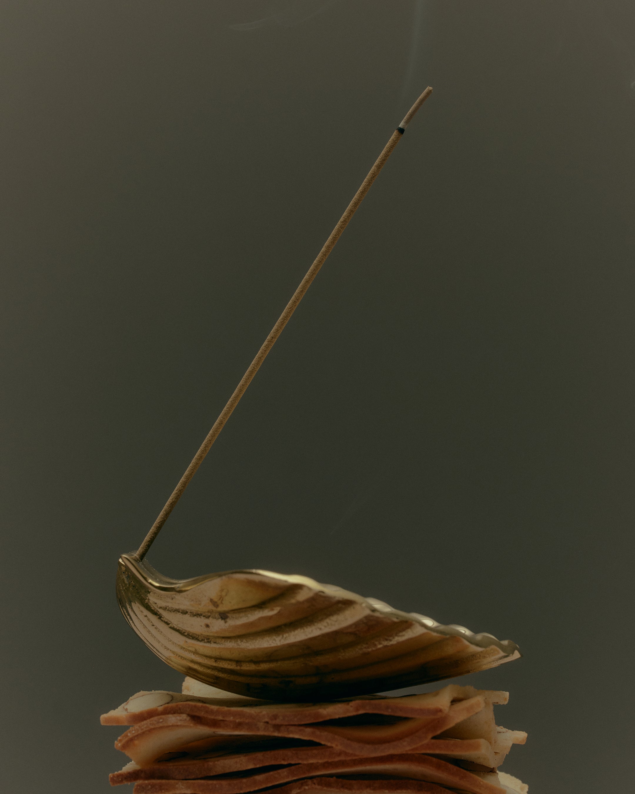 Scallop Incense Holder | Brass