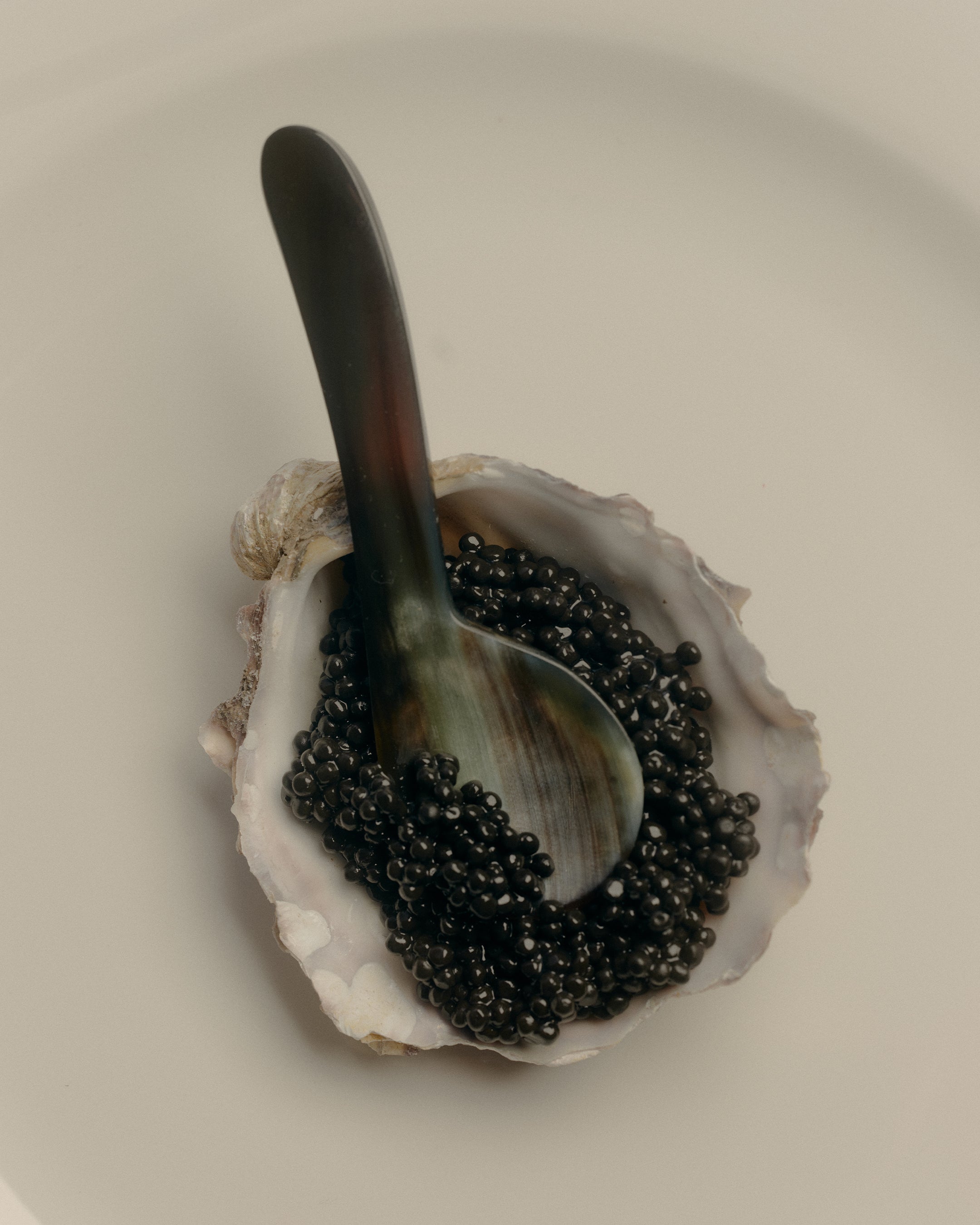 Tide Caviar Spoons | Set of 2