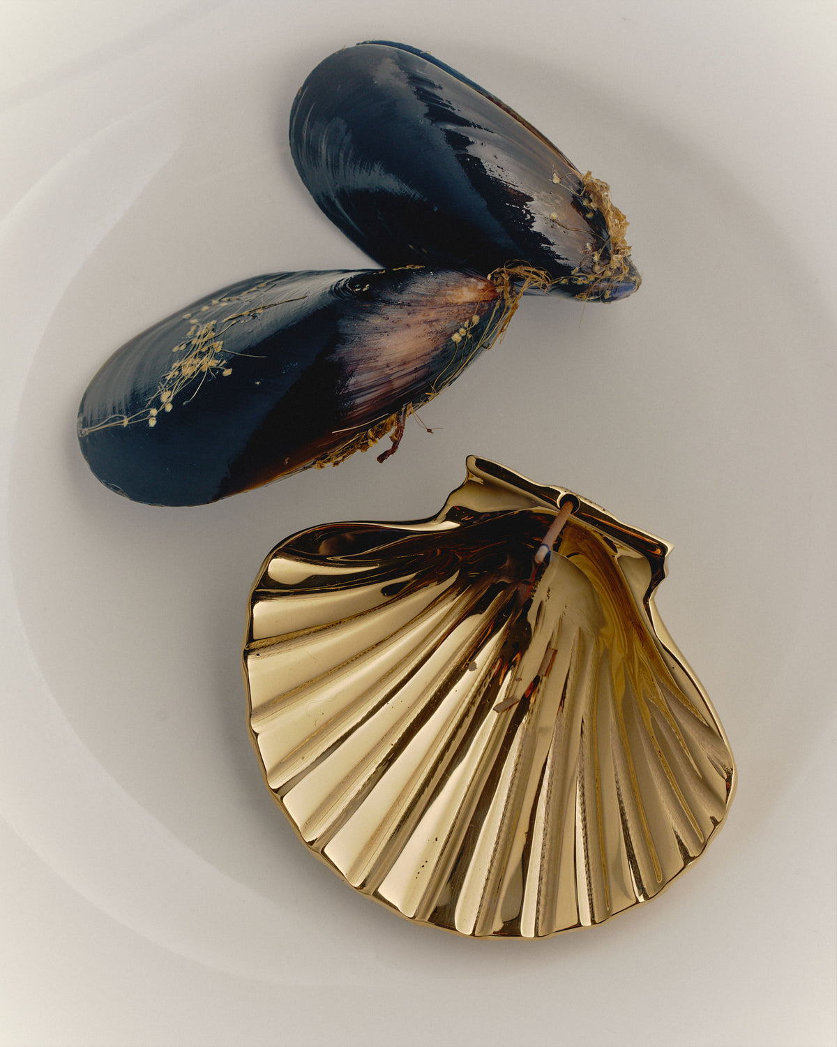 Brass scallop incense holder holding a single incense stick