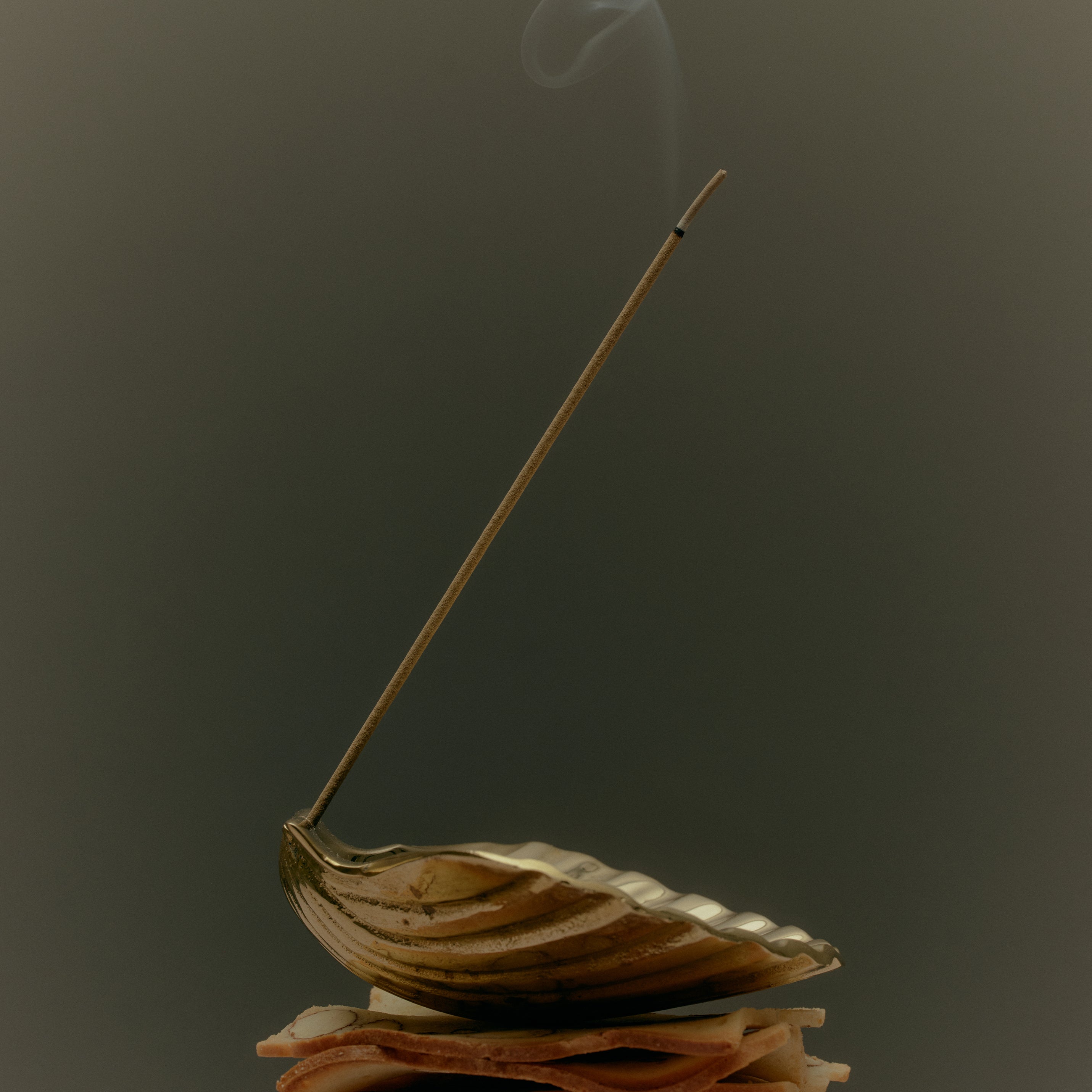 Scallop Incense Holder | Brass