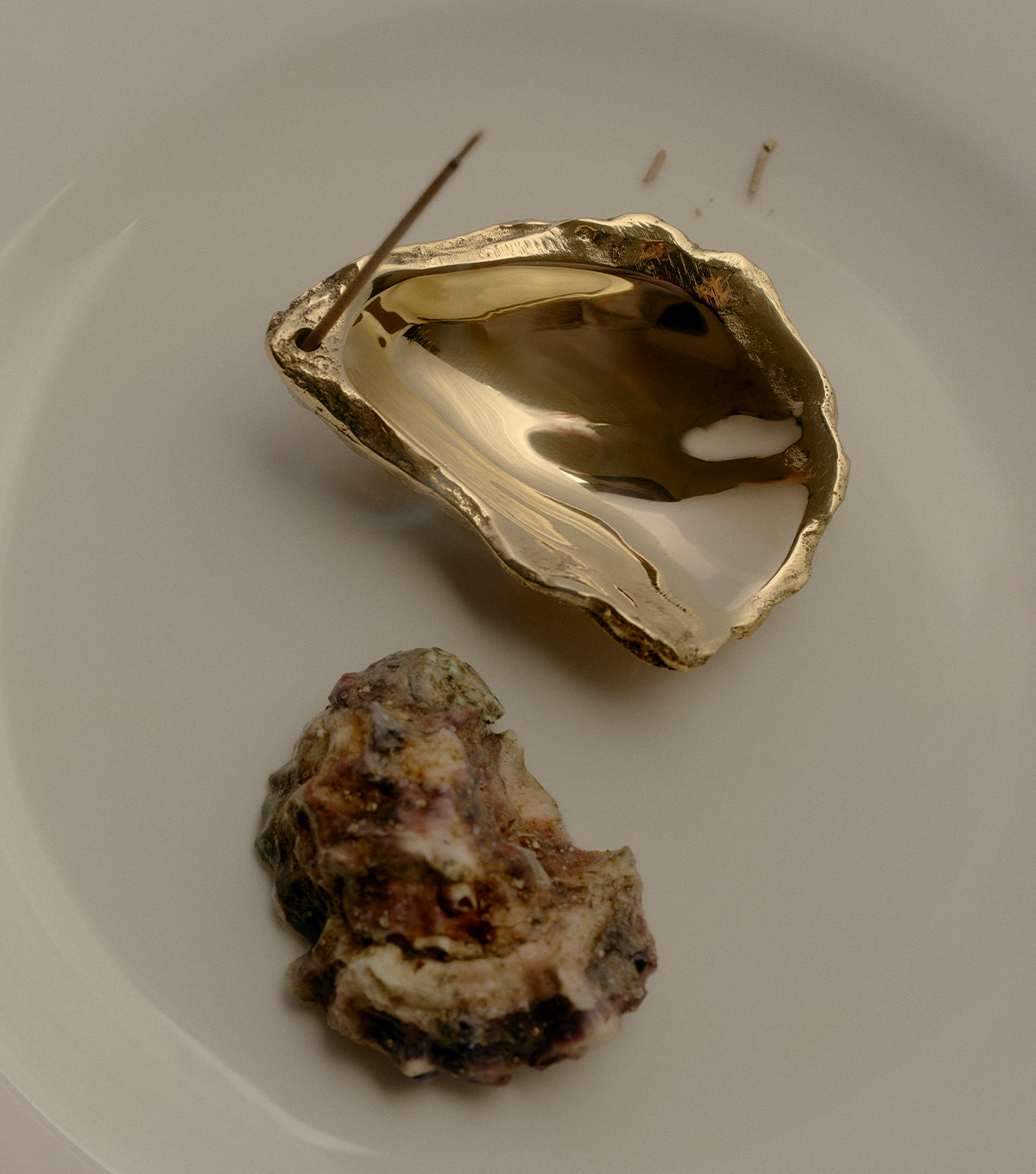 COREY ASHFORD Oyster Incense Holder in polished brass with incense stick, beside a natural oyster shell on a white plate.