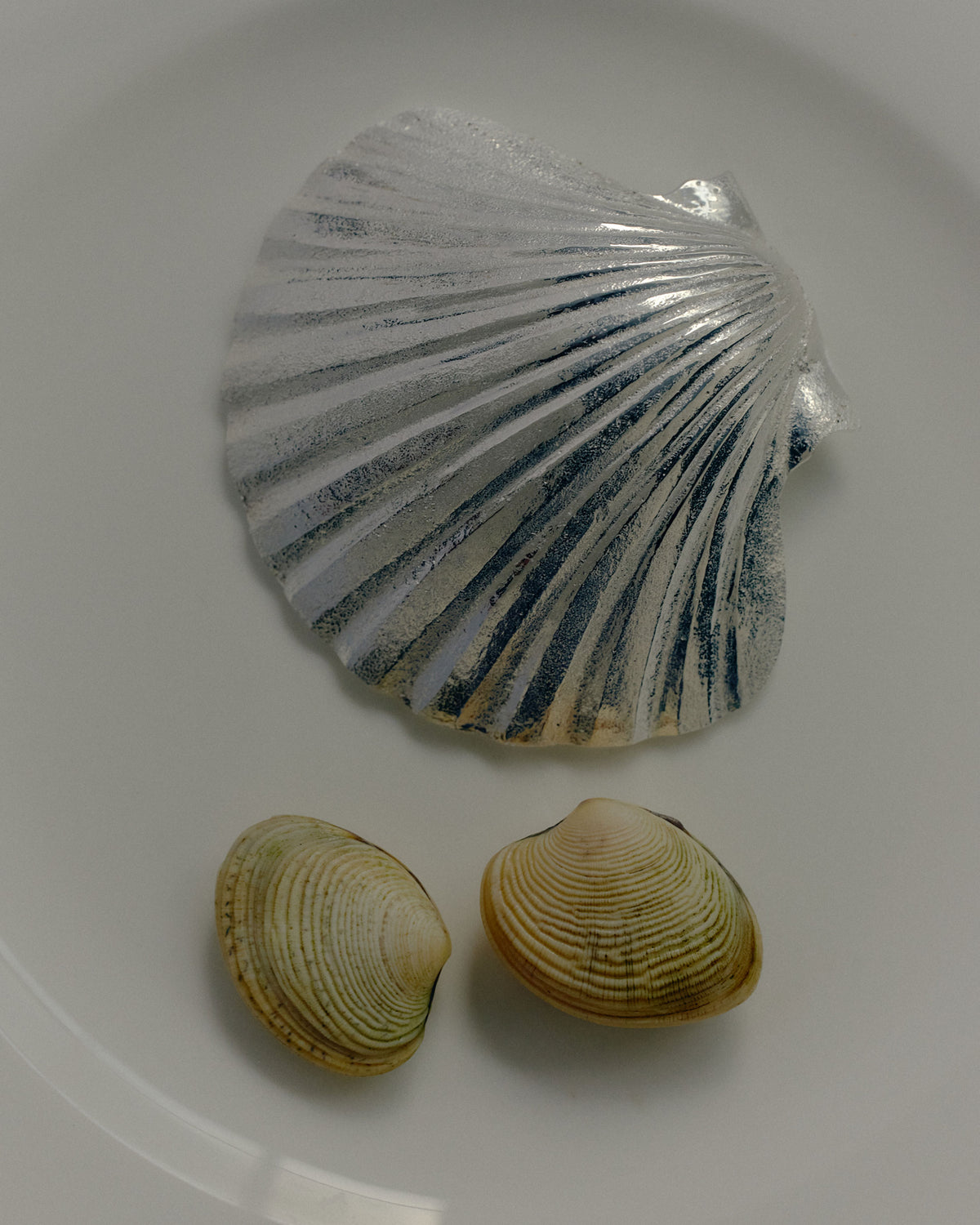 Silver scallop incense holder holding a single incense stick